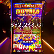 Casino Ao Vivo 977pg